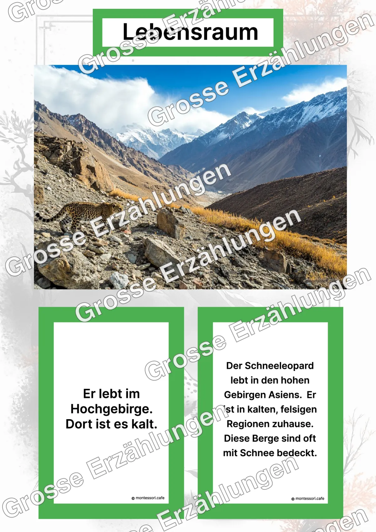 Der Schneeleopard - Lernkarten - Letzte Vorschauseite des PDF-Downloads