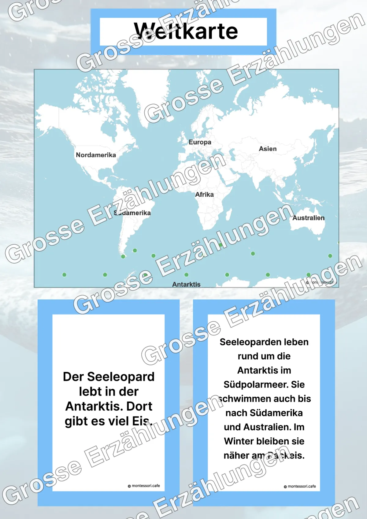 Der Seeleopard - Lernkarten - Inhaltsbeispiel Seite 2 mit Montessori Lehrmaterial