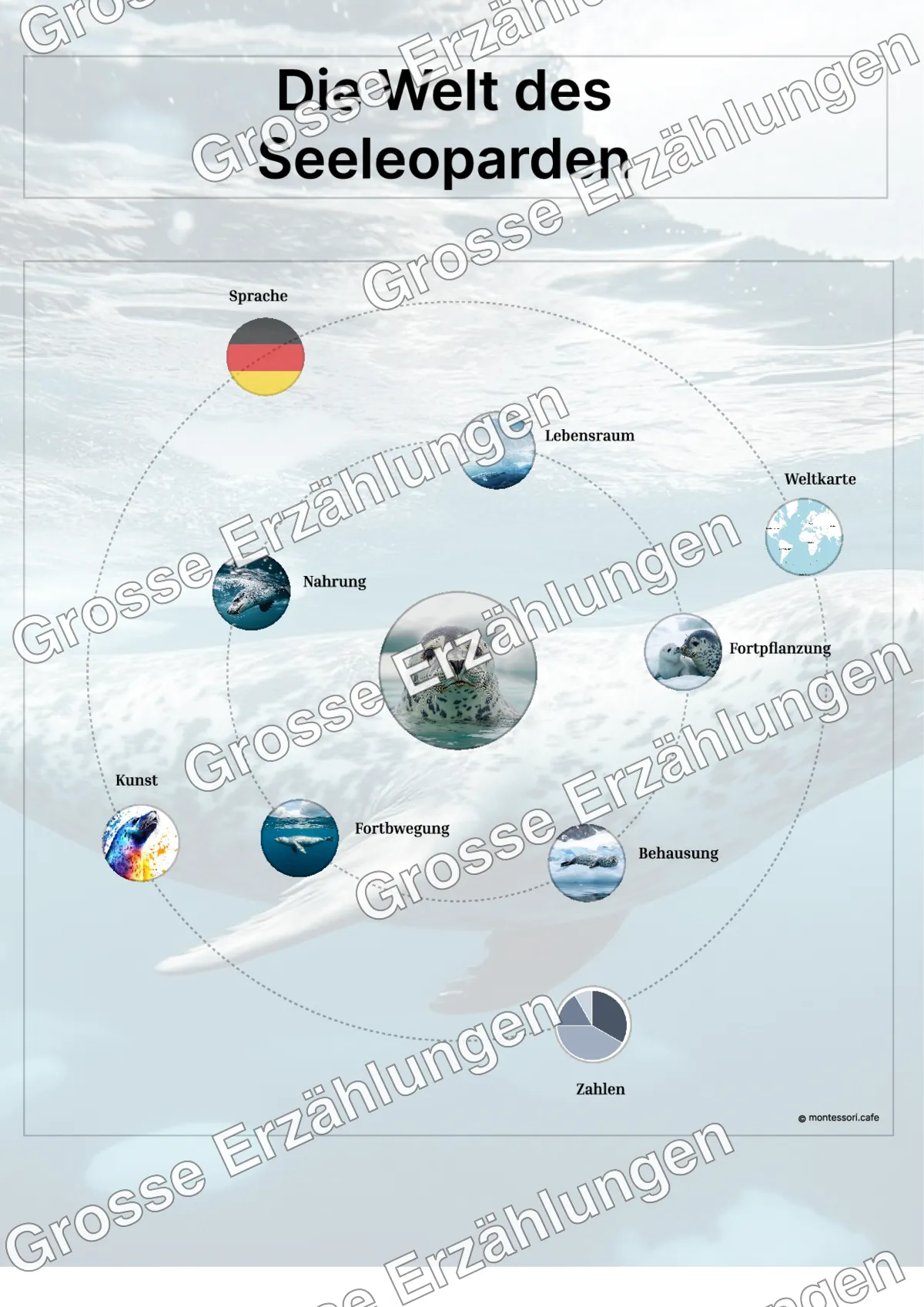 Der Seeleopard - Lernkarten - Beispielseite 3 von 5 mit Kommen des Lebens Inhalten