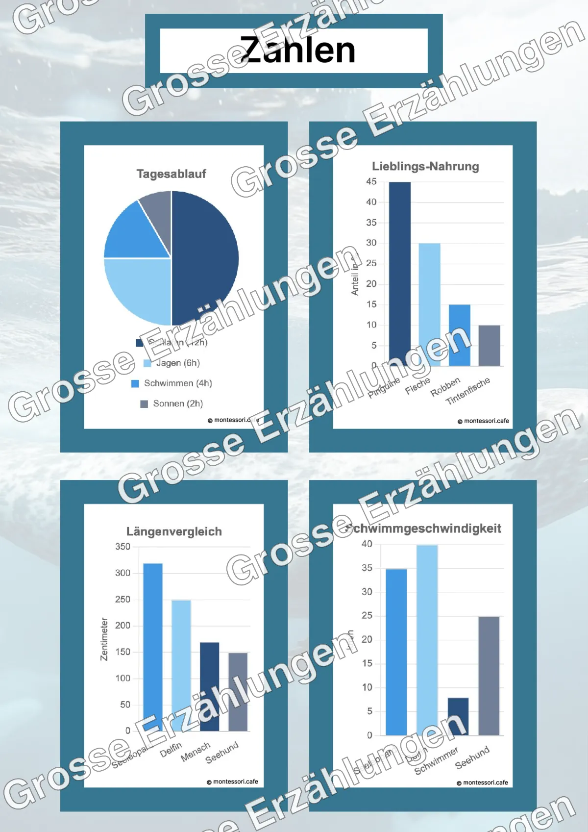 Der Seeleopard - Lernkarten - Beispielseite 4 von 5 mit Kommen des Lebens Inhalten