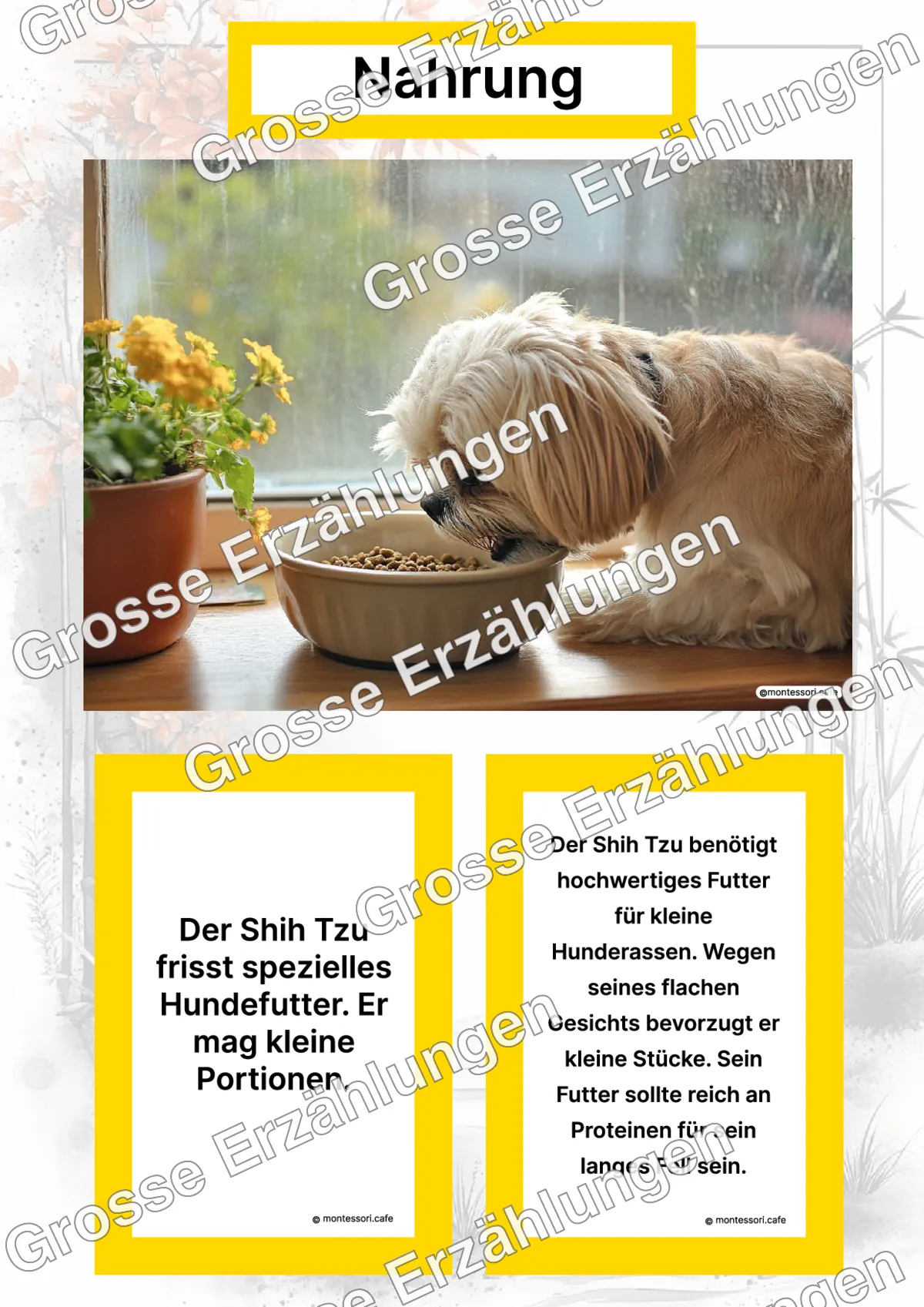 Der Shih Tzu - Lernkarten - Titelseite und Übersicht des Kommen des Lebens Lernmaterials