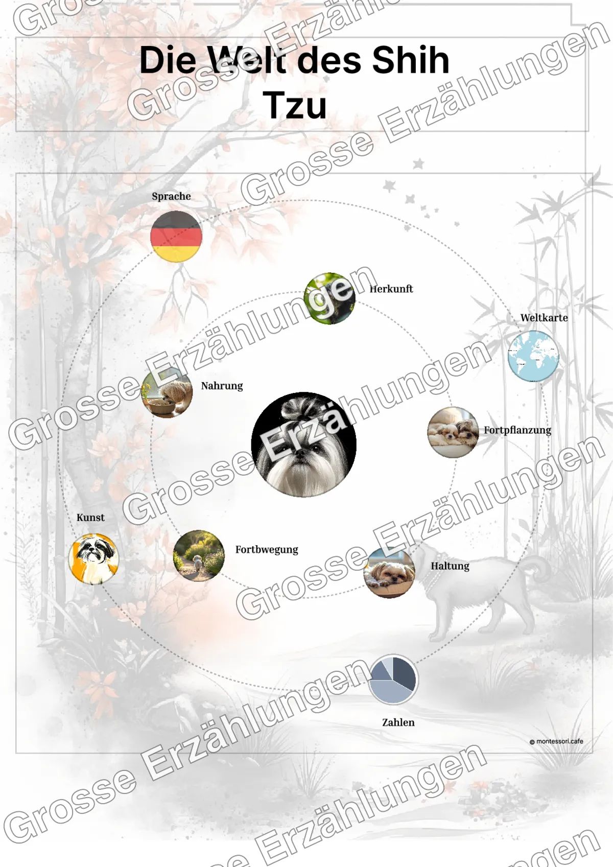 Der Shih Tzu - Lernkarten - Beispielseite 3 von 5 mit Kommen des Lebens Inhalten