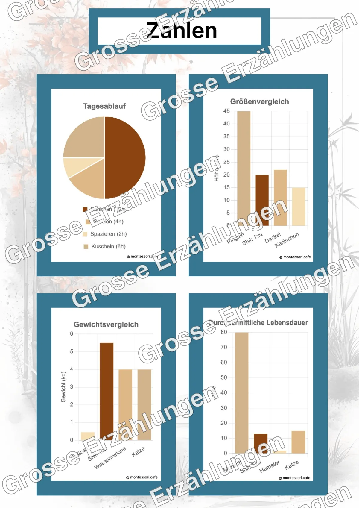 Der Shih Tzu - Lernkarten - Beispielseite 4 von 5 mit Kommen des Lebens Inhalten