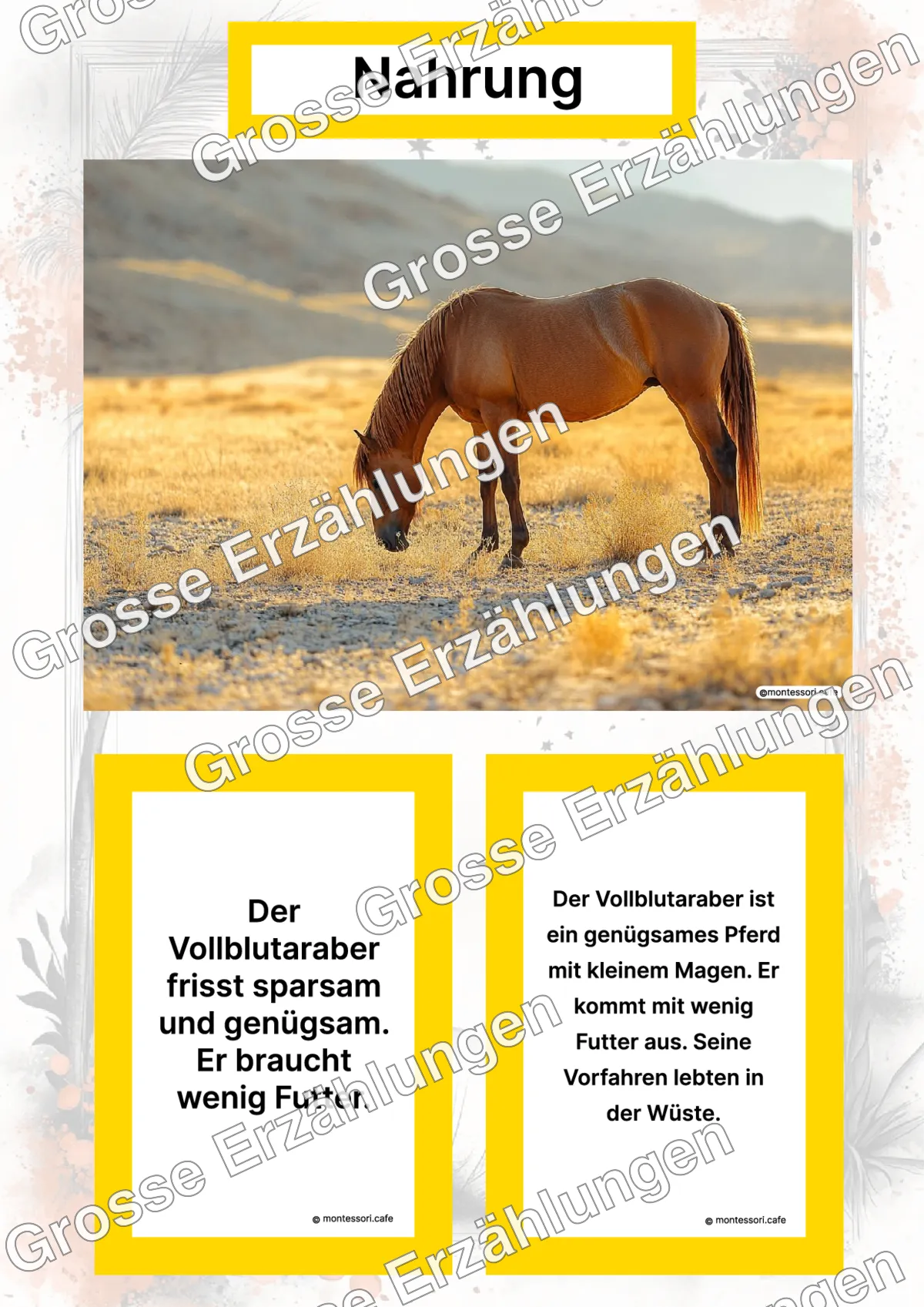 Der Vollblutaraber - Lernkarten - Titelseite und Übersicht des Kommen des Lebens Lernmaterials