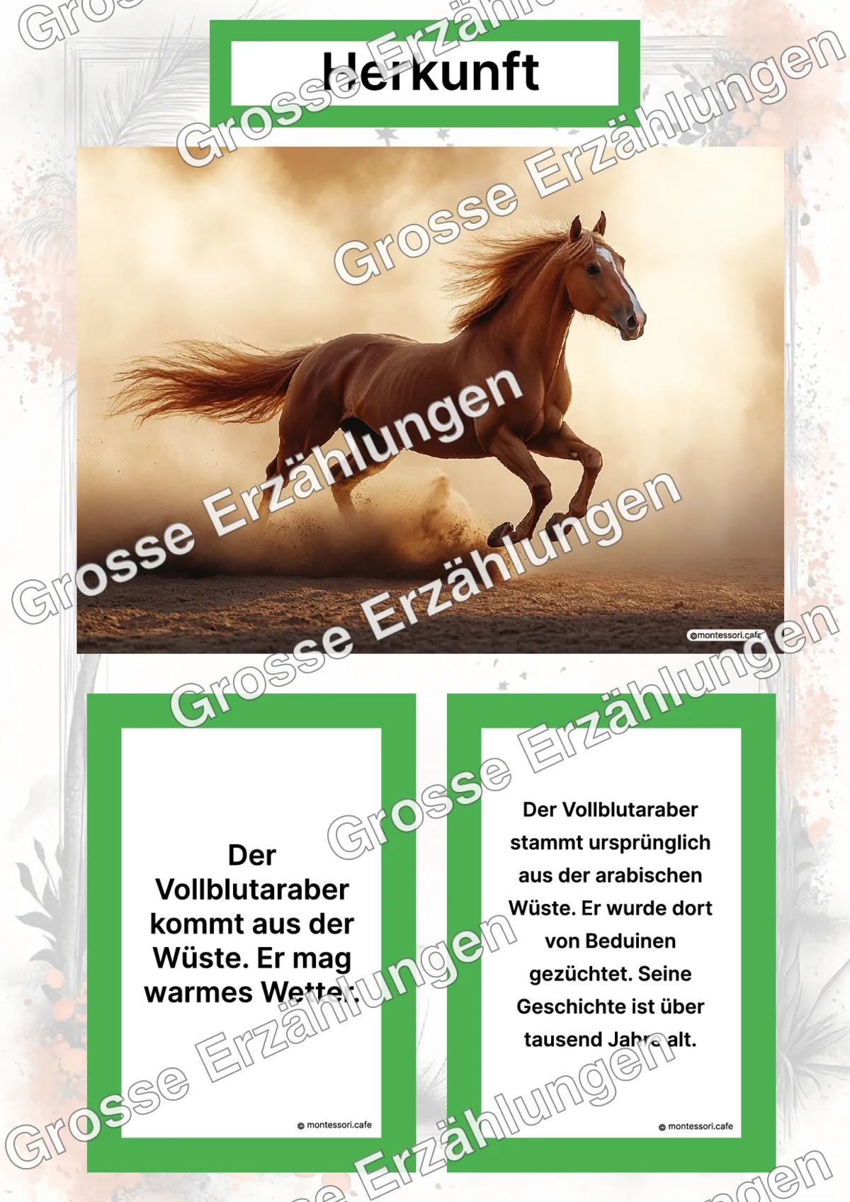 Der Vollblutaraber - Lernkarten - Letzte Vorschauseite des PDF-Downloads