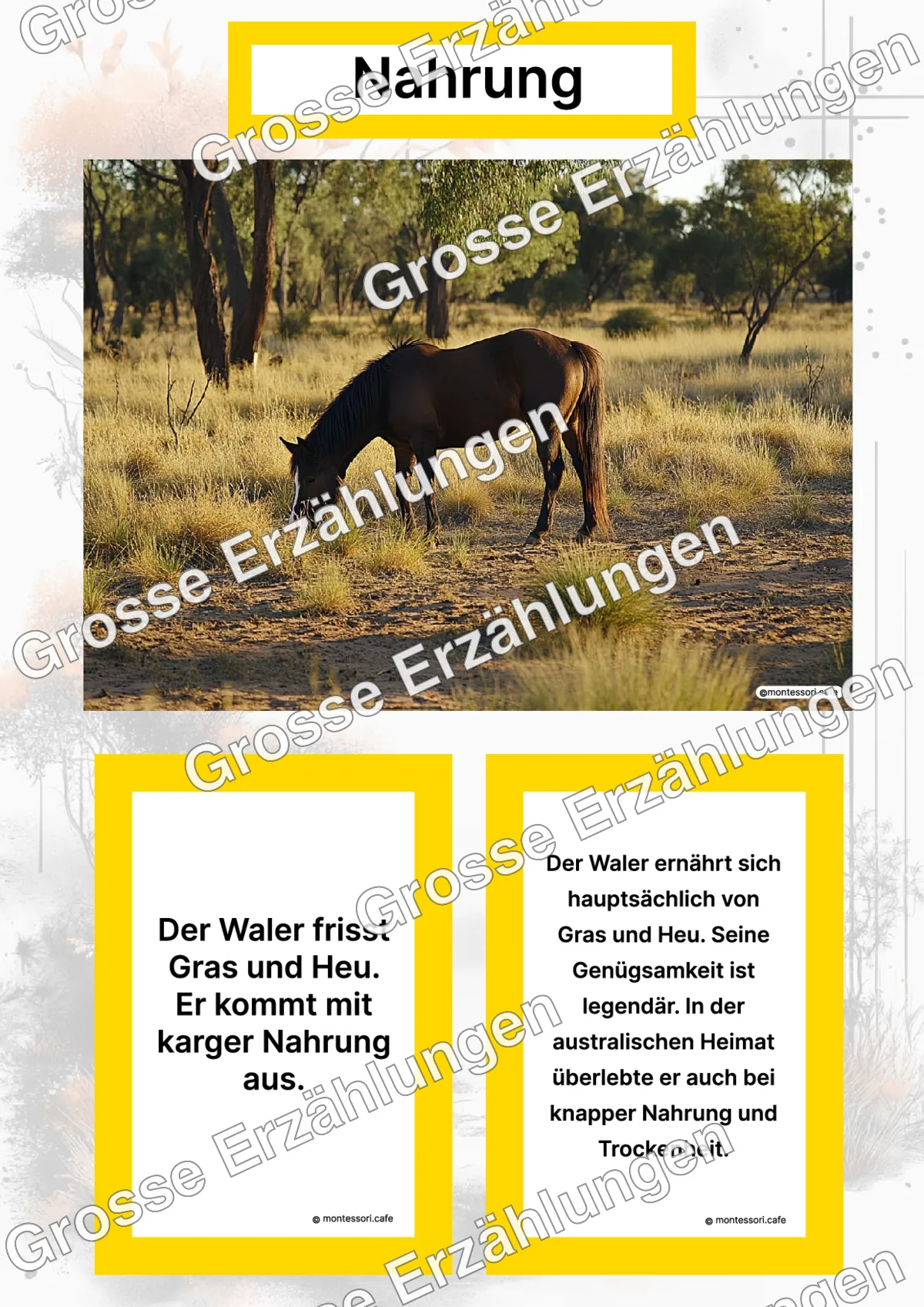 Der Waler - Ganzheitliche Lernkarten - Titelseite und Übersicht des Kommen des Lebens Lernmaterials