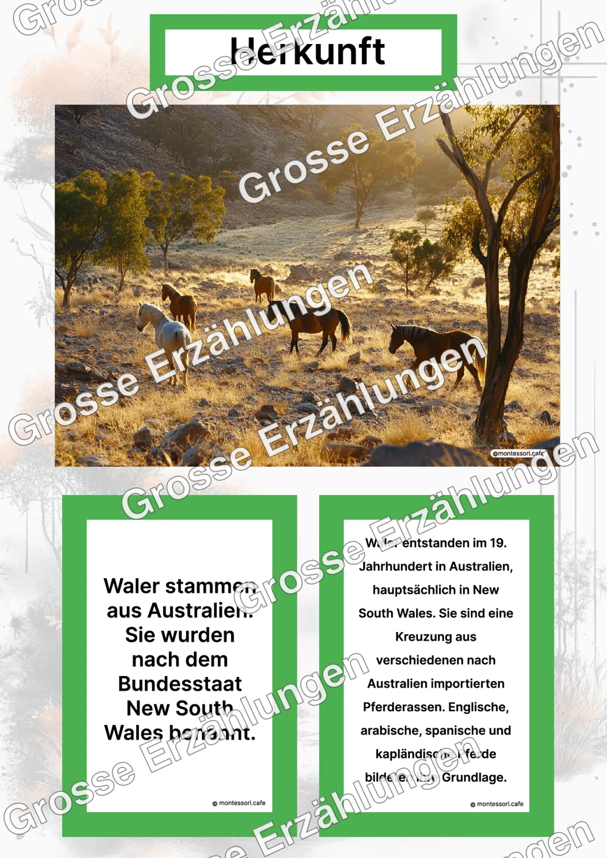 Der Waler - Ganzheitliche Lernkarten - Letzte Vorschauseite des PDF-Downloads