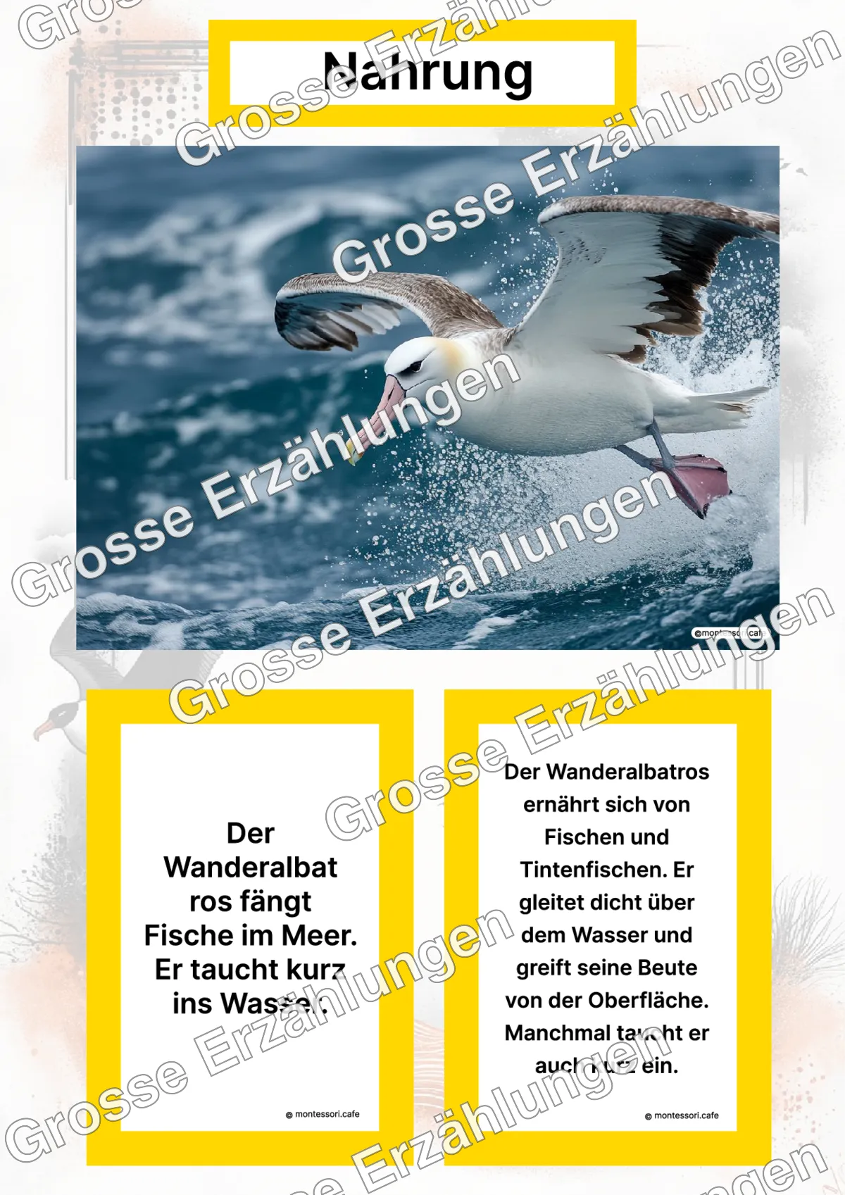 Der Wanderalbatros - Lernkarten - Titelseite und Übersicht des Kommen des Lebens Lernmaterials