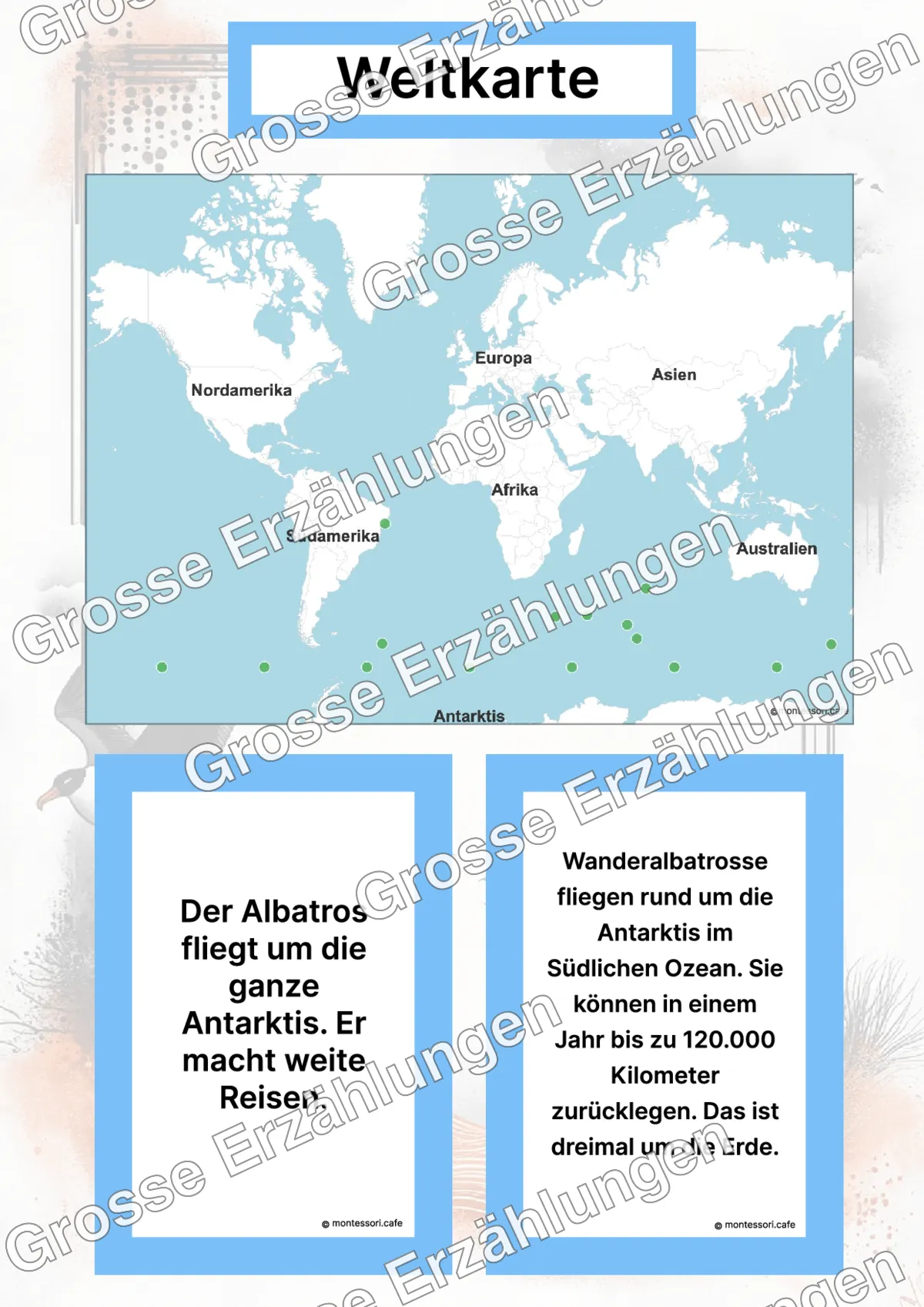 Der Wanderalbatros - Lernkarten - Inhaltsbeispiel Seite 2 mit Montessori Lehrmaterial