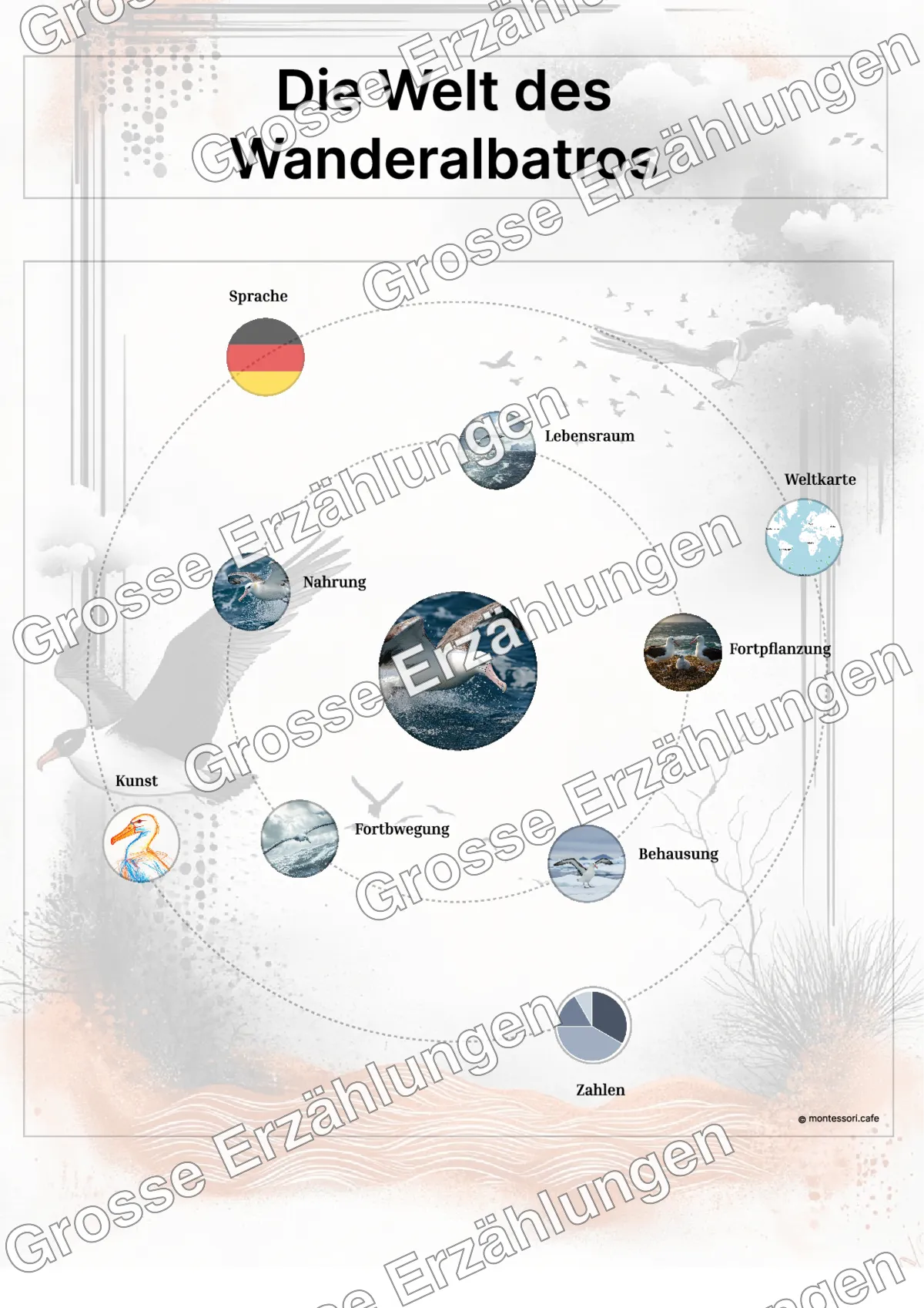 Der Wanderalbatros - Lernkarten - Beispielseite 3 von 5 mit Kommen des Lebens Inhalten