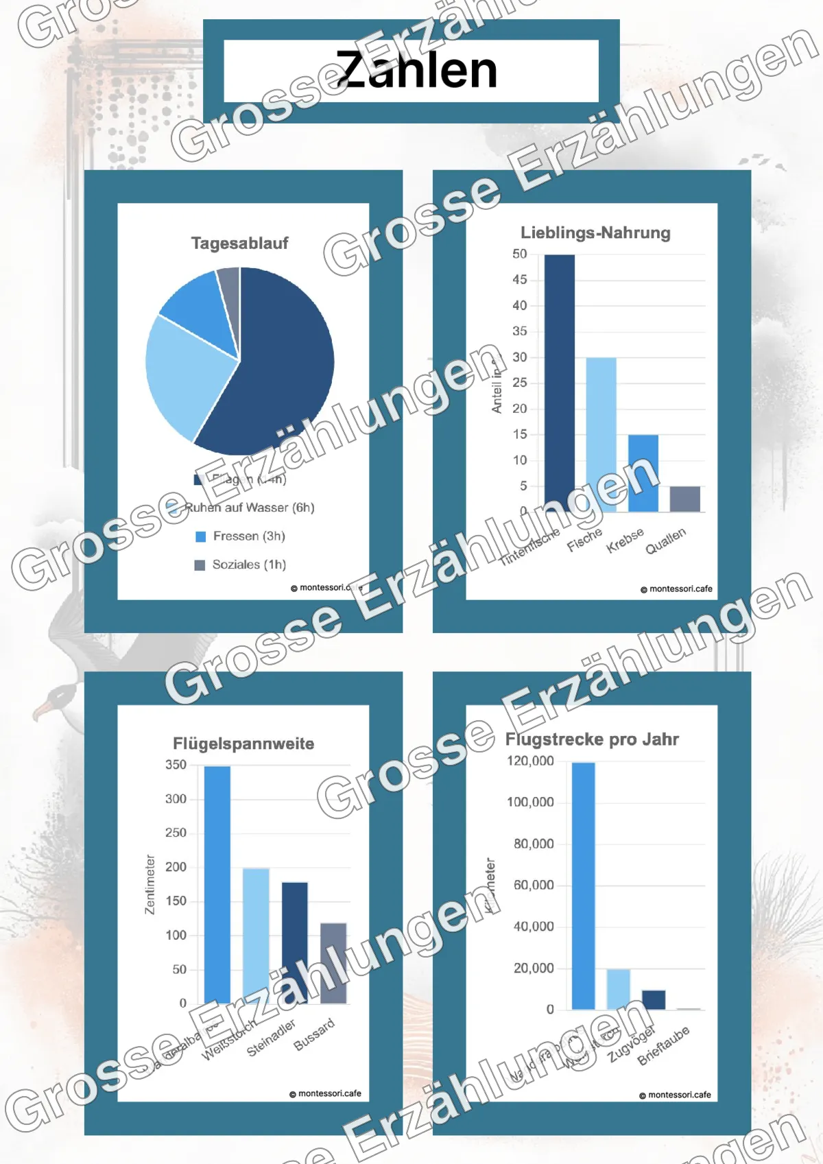 Der Wanderalbatros - Lernkarten - Beispielseite 4 von 5 mit Kommen des Lebens Inhalten
