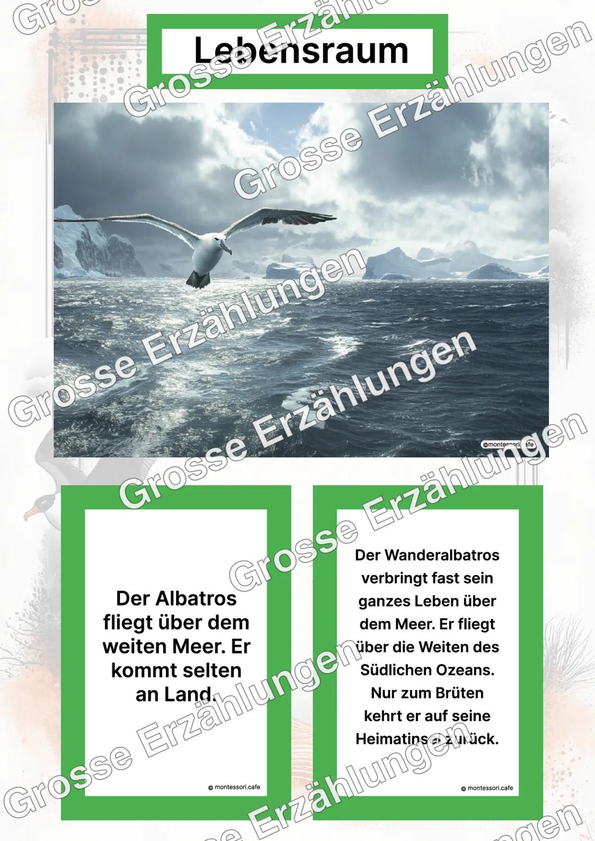 Der Wanderalbatros - Lernkarten - Letzte Vorschauseite des PDF-Downloads