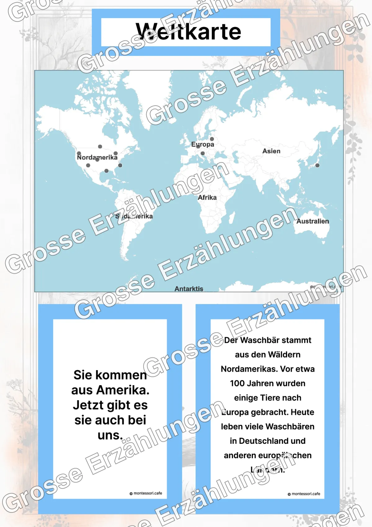 Der Waschbär - Lernkarten - Inhaltsbeispiel Seite 2 mit Montessori Lehrmaterial