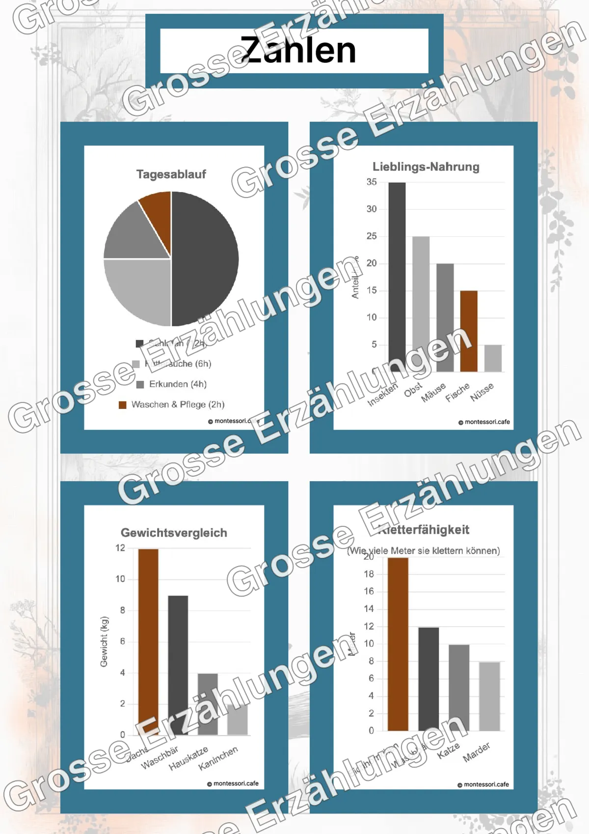 Der Waschbär - Lernkarten - Beispielseite 4 von 5 mit Kommen des Lebens Inhalten