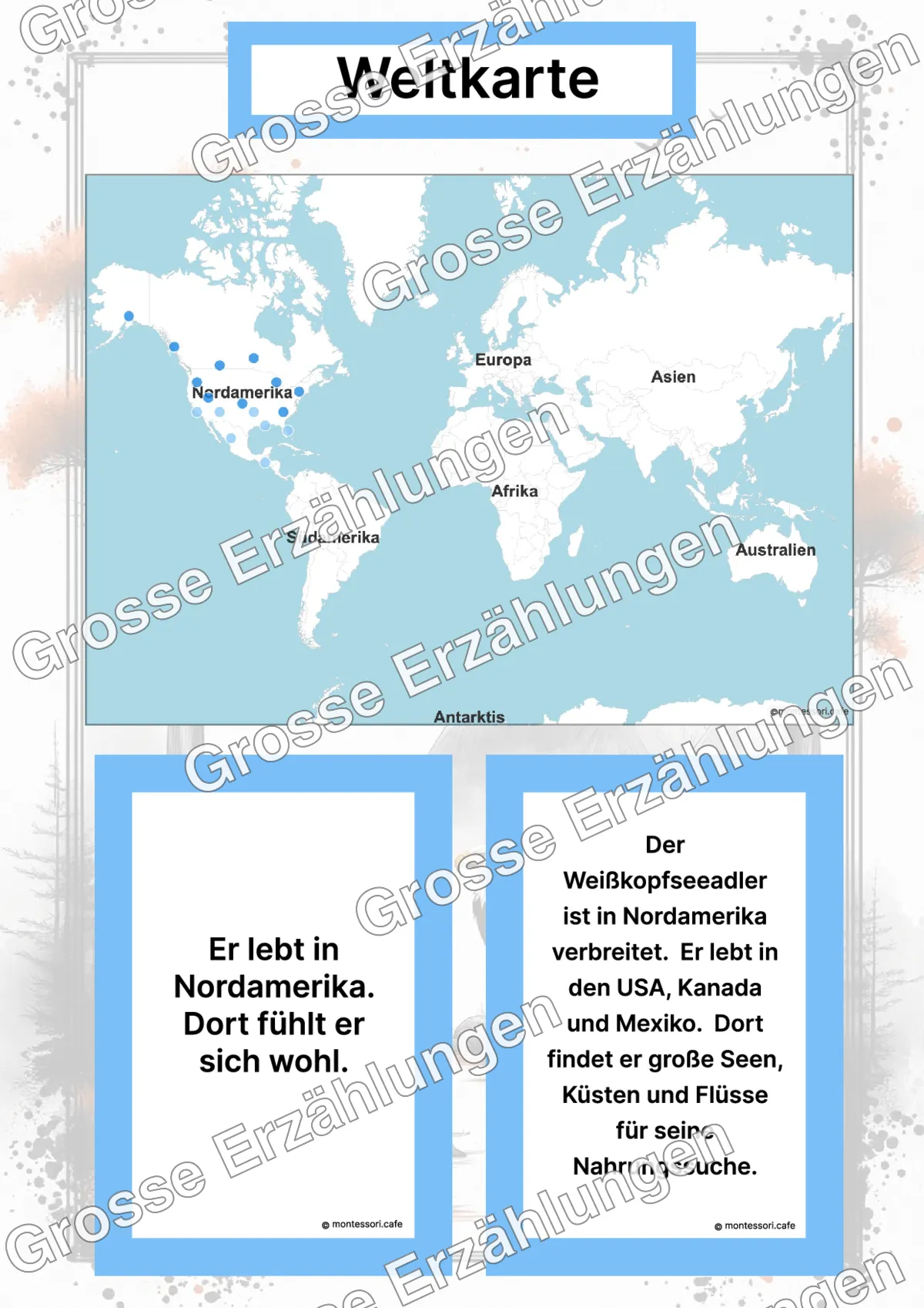 Der Weißkopfseeadler - Lernkarten - Inhaltsbeispiel Seite 2 mit Montessori Lehrmaterial