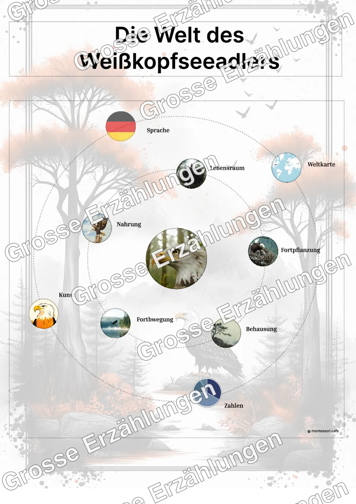 Der Weißkopfseeadler - Lernkarten - Beispielseite 3 von 5 mit Kommen des Lebens Inhalten