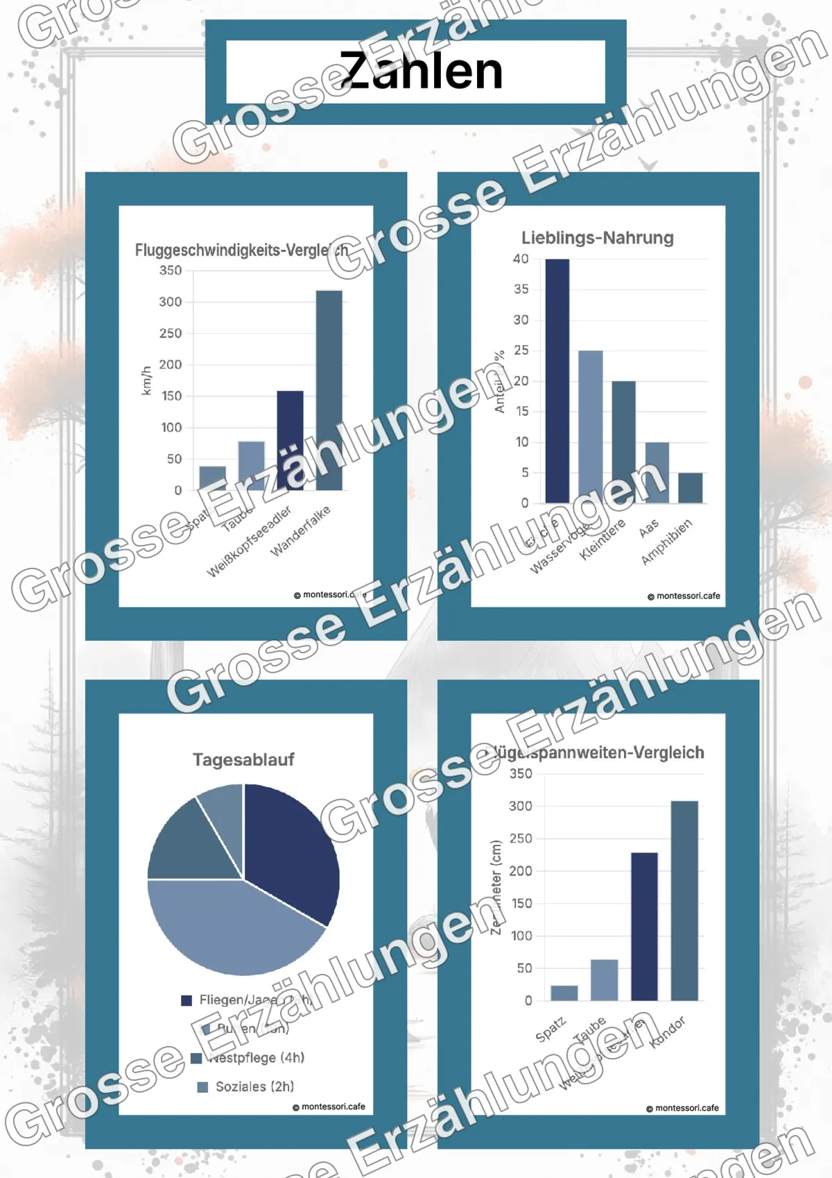 Der Weißkopfseeadler - Lernkarten - Beispielseite 4 von 5 mit Kommen des Lebens Inhalten