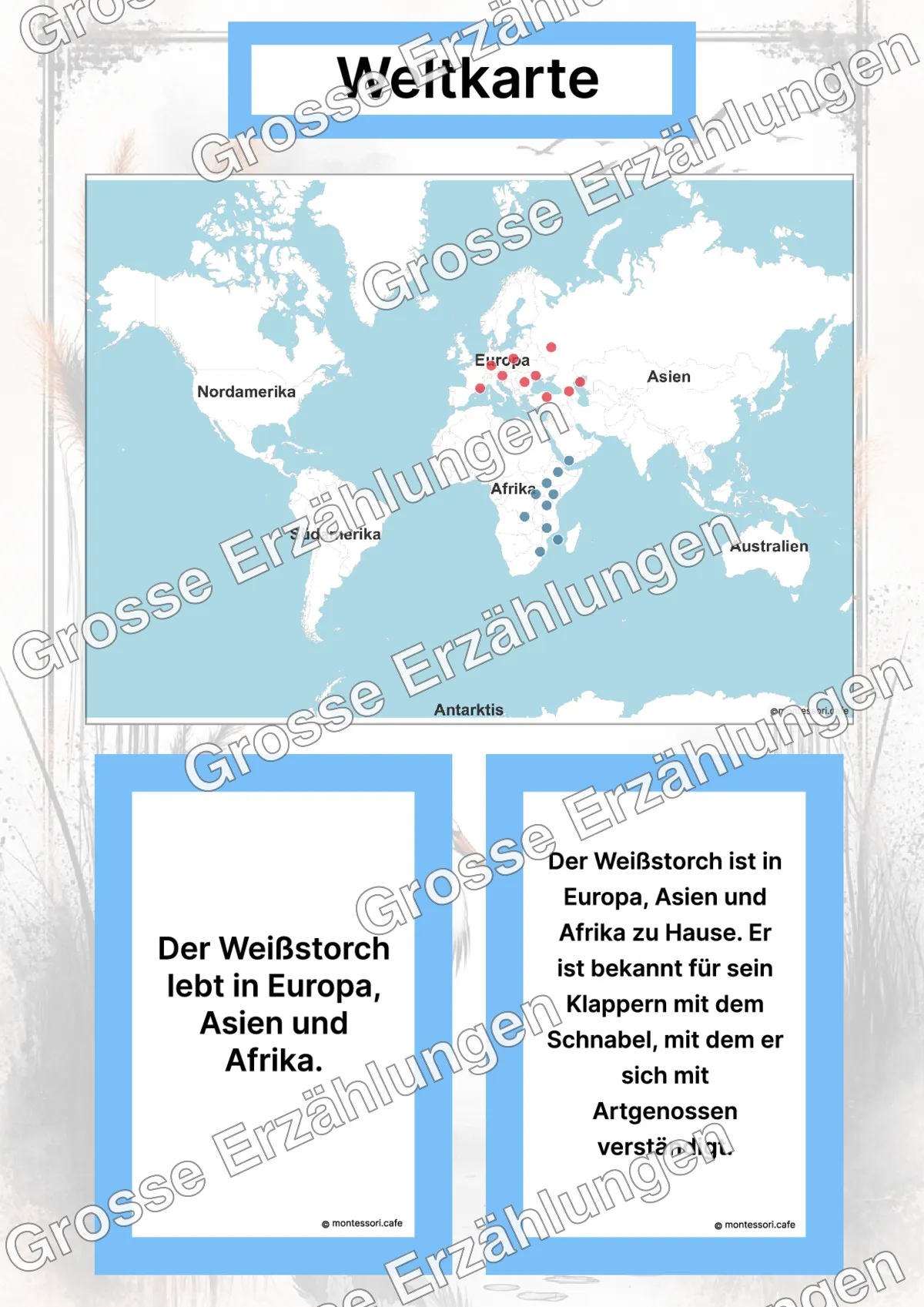 Der Weißstorch - Lernkarten - Inhaltsbeispiel Seite 2 mit Montessori Lehrmaterial