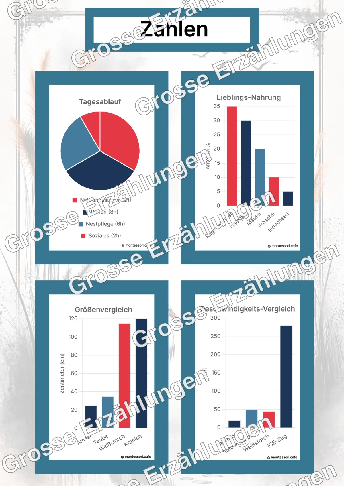 Der Weißstorch - Lernkarten - Beispielseite 4 von 5 mit Kommen des Lebens Inhalten
