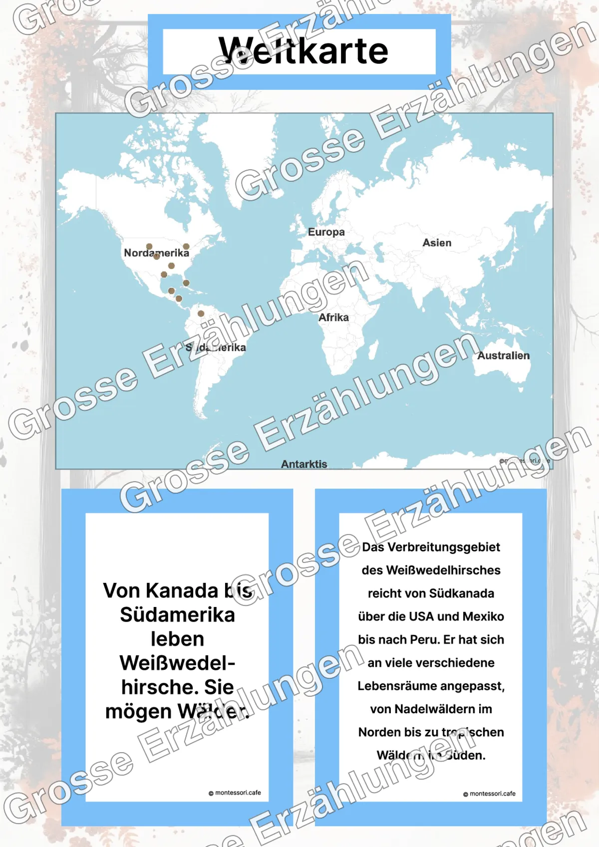 Der Weißwedelhirsch - Lernkarten - Inhaltsbeispiel Seite 2 mit Montessori Lehrmaterial