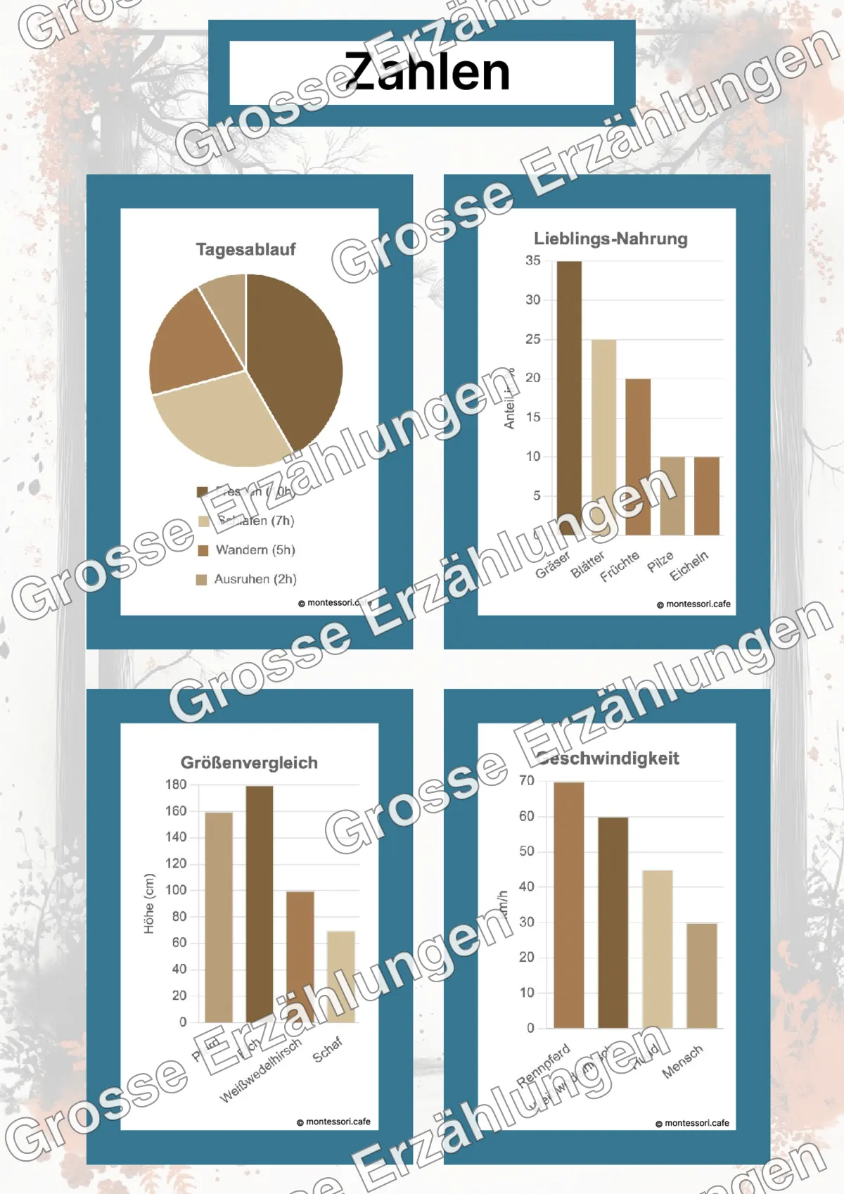 Der Weißwedelhirsch - Lernkarten - Beispielseite 4 von 5 mit Kommen des Lebens Inhalten