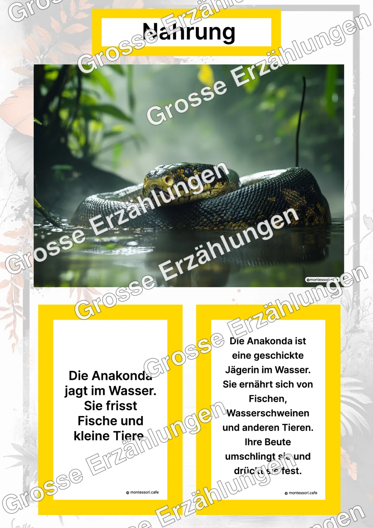 Die Anakonda - Lernkarten - Titelseite und Übersicht des Kommen des Lebens Lernmaterials