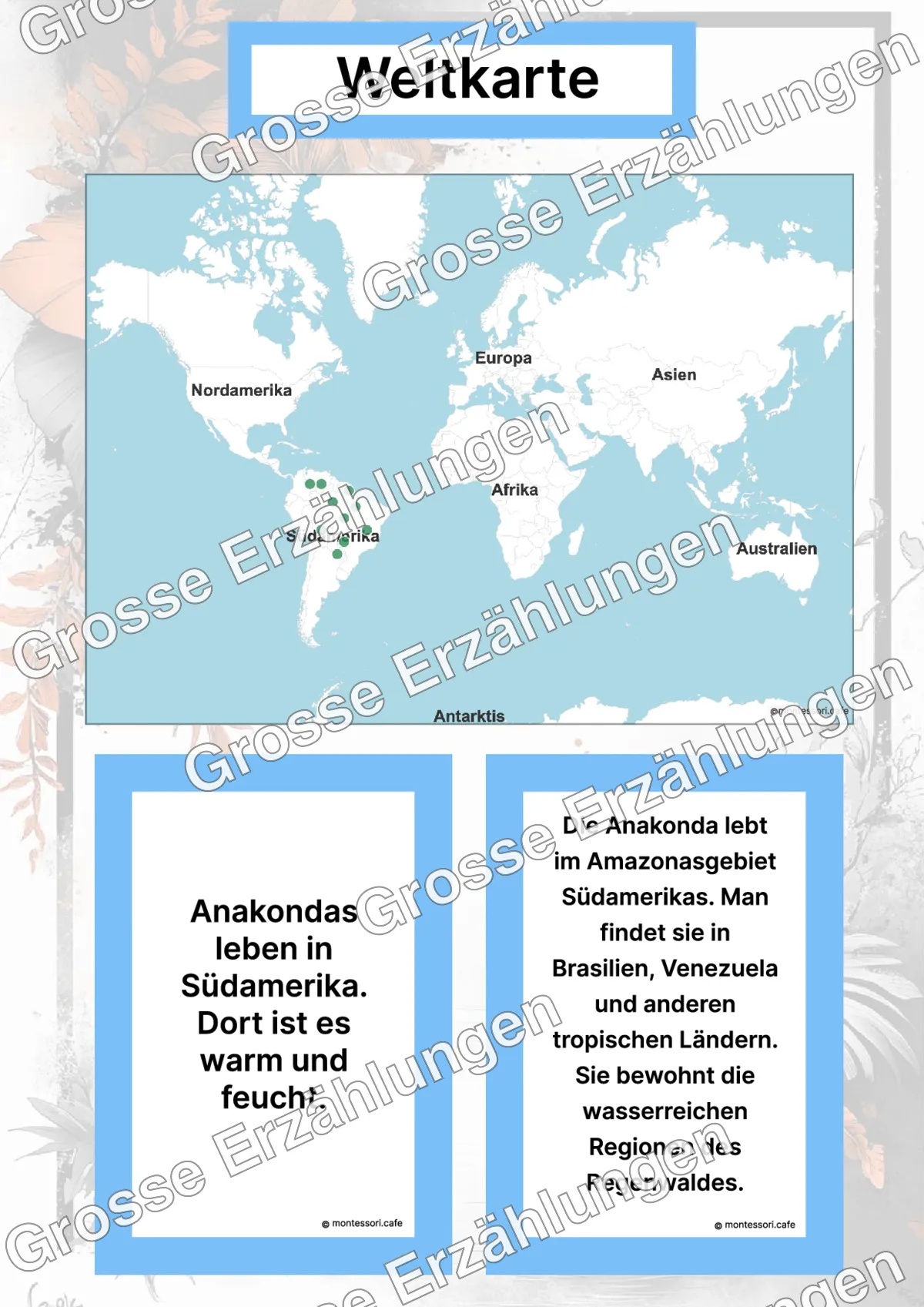 Die Anakonda - Lernkarten - Inhaltsbeispiel Seite 2 mit Montessori Lehrmaterial