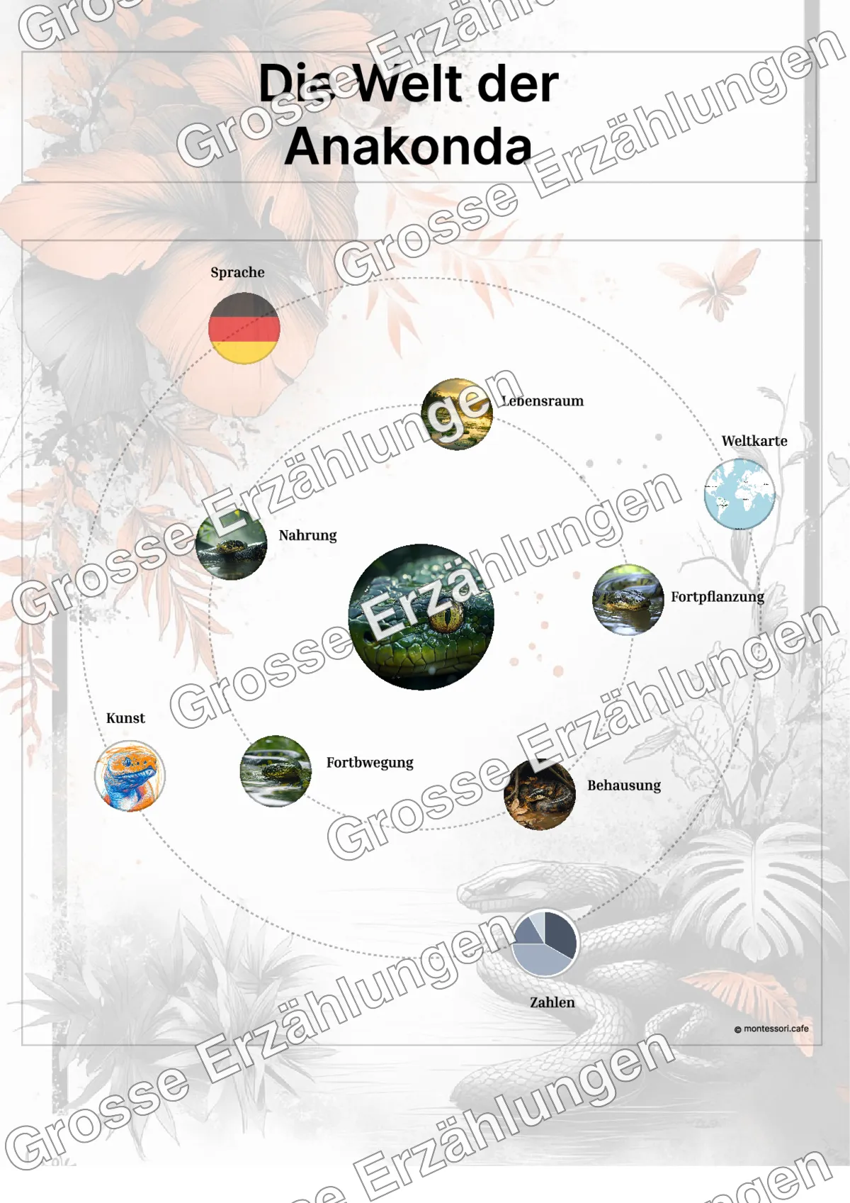 Die Anakonda - Lernkarten - Beispielseite 3 von 5 mit Kommen des Lebens Inhalten