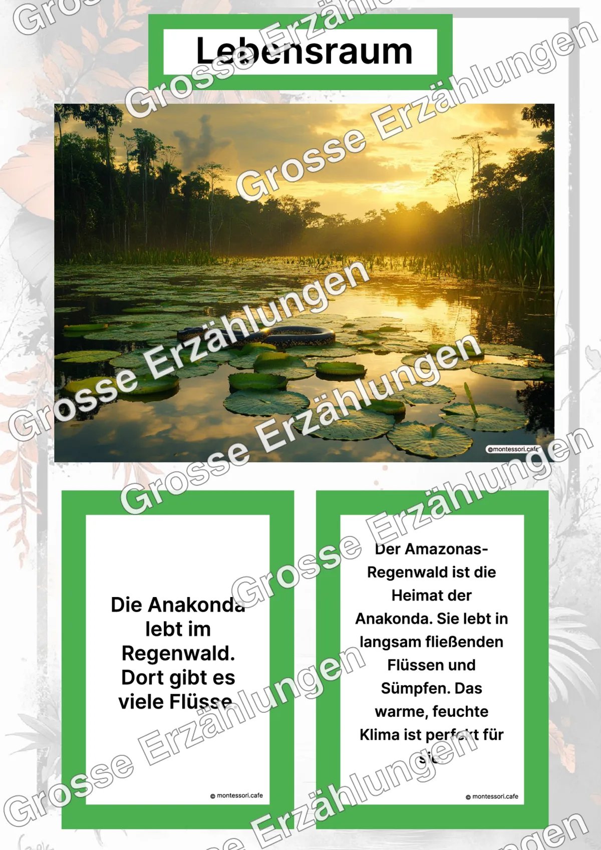 Die Anakonda - Lernkarten - Letzte Vorschauseite des PDF-Downloads