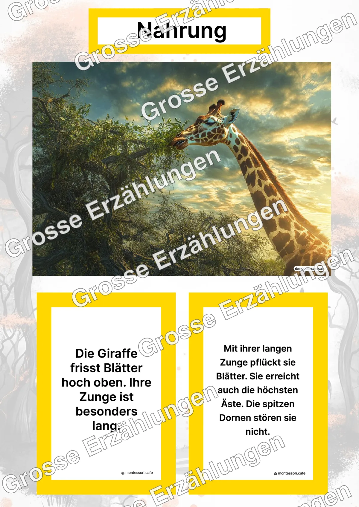 Die Giraffe - Lernkarten - Titelseite und Übersicht des Kommen des Lebens Lernmaterials