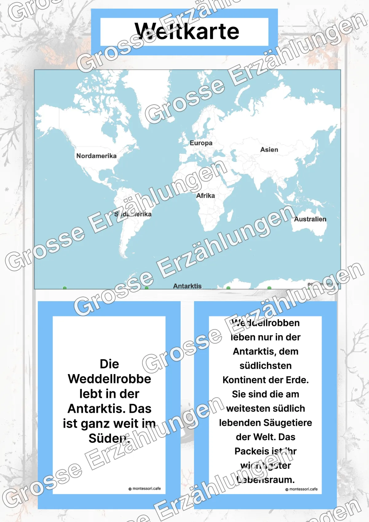 Die Weddellrobbe - Lernkarten - Inhaltsbeispiel Seite 2 mit Montessori Lehrmaterial