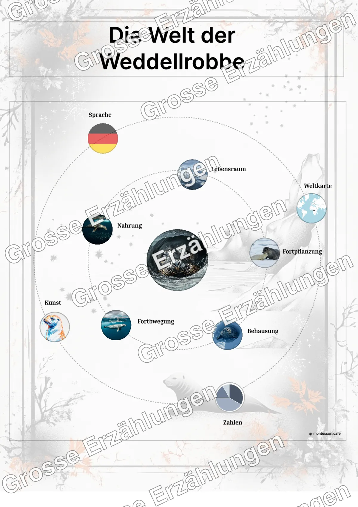 Die Weddellrobbe - Lernkarten - Beispielseite 3 von 5 mit Kommen des Lebens Inhalten