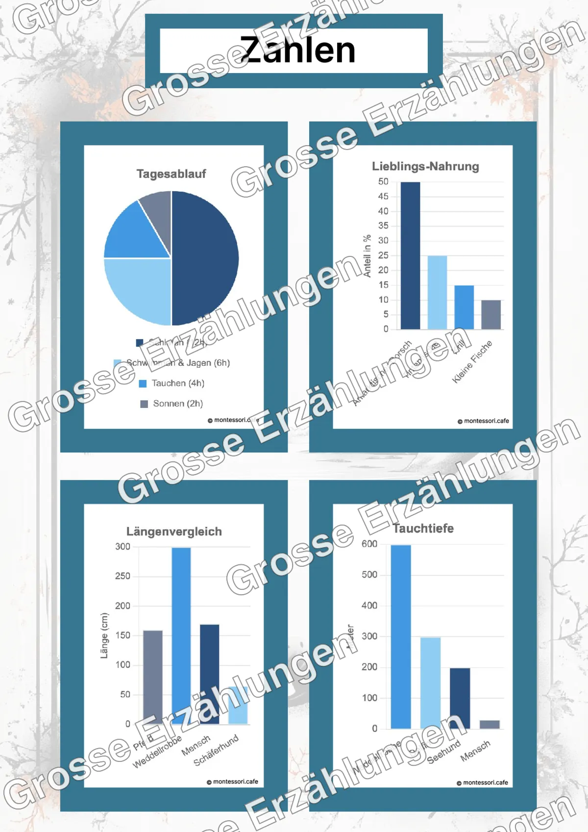 Die Weddellrobbe - Lernkarten - Beispielseite 4 von 5 mit Kommen des Lebens Inhalten