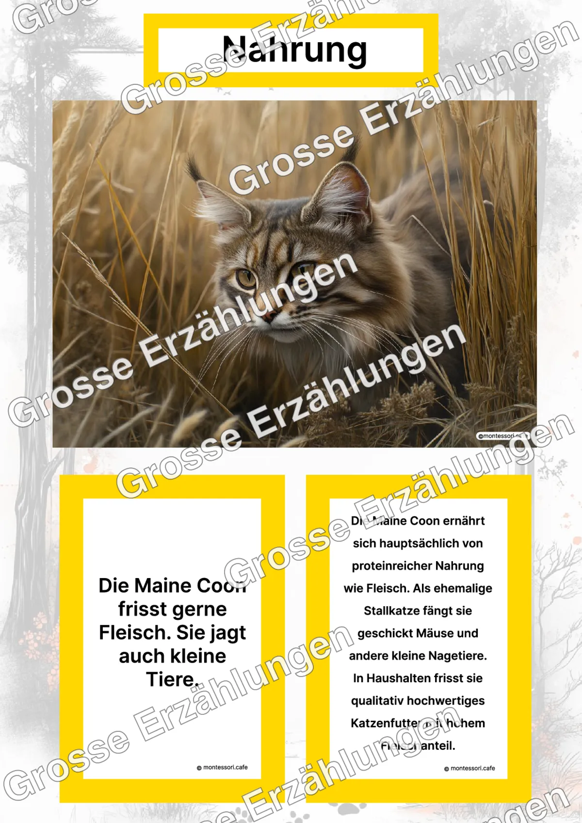 Die Maine Coon - Ganzheitliche Lernkarten - Titelseite und Übersicht des Kommen des Lebens Lernmaterials