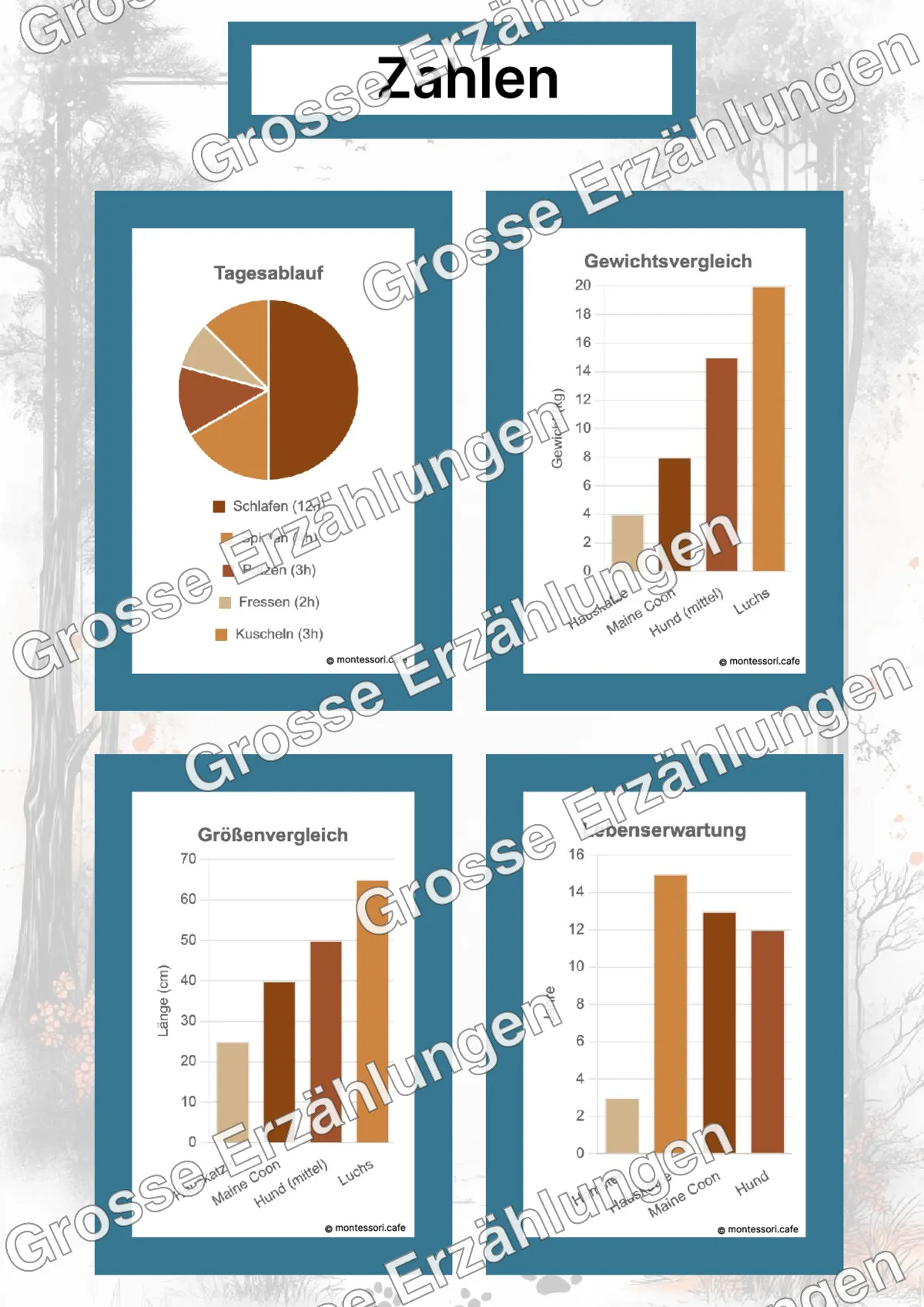 Die Maine Coon - Ganzheitliche Lernkarten - Beispielseite 4 von 5 mit Kommen des Lebens Inhalten