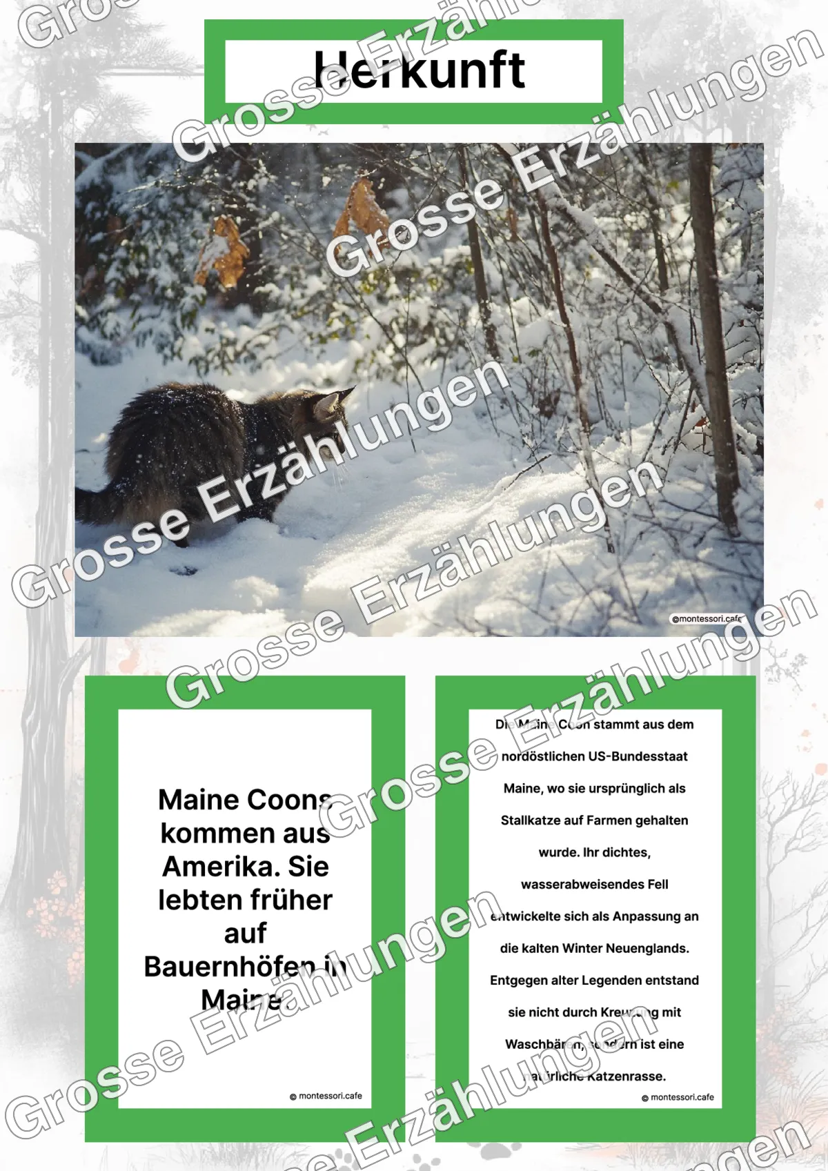 Die Maine Coon - Ganzheitliche Lernkarten - Letzte Vorschauseite des PDF-Downloads