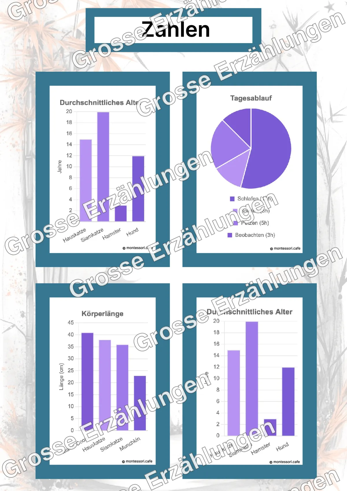 Die Siamkatze - Ganzheitliche Lernkarten - Beispielseite 4 von 5 mit Kommen des Lebens Inhalten